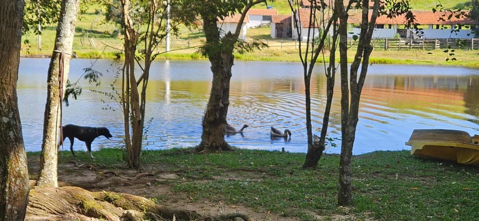 Hospedagem Fazenda Nova America Brotas Bagian luar foto